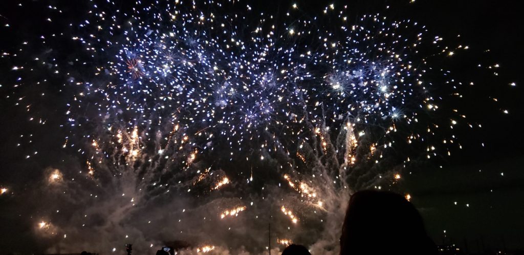 【画像】二子玉川花火大会の花火写真が宇宙みたい
